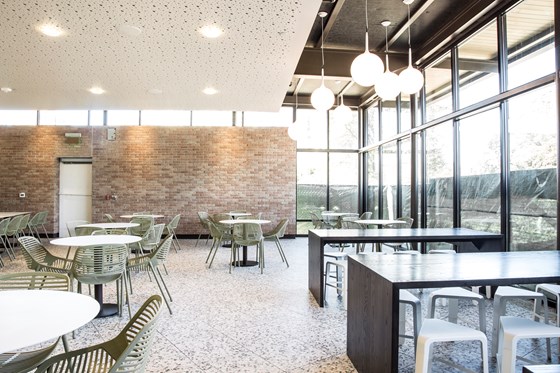 Cypress Circle Cafe |  Collaborative Engineering Group