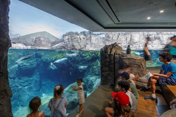 Houston Zoo Galapagos Exhibit |  Collaborative Engineering Group